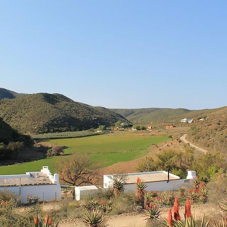 Villa Matjiesvlei Guestfarm à Calitzdorp Extérieur photo
