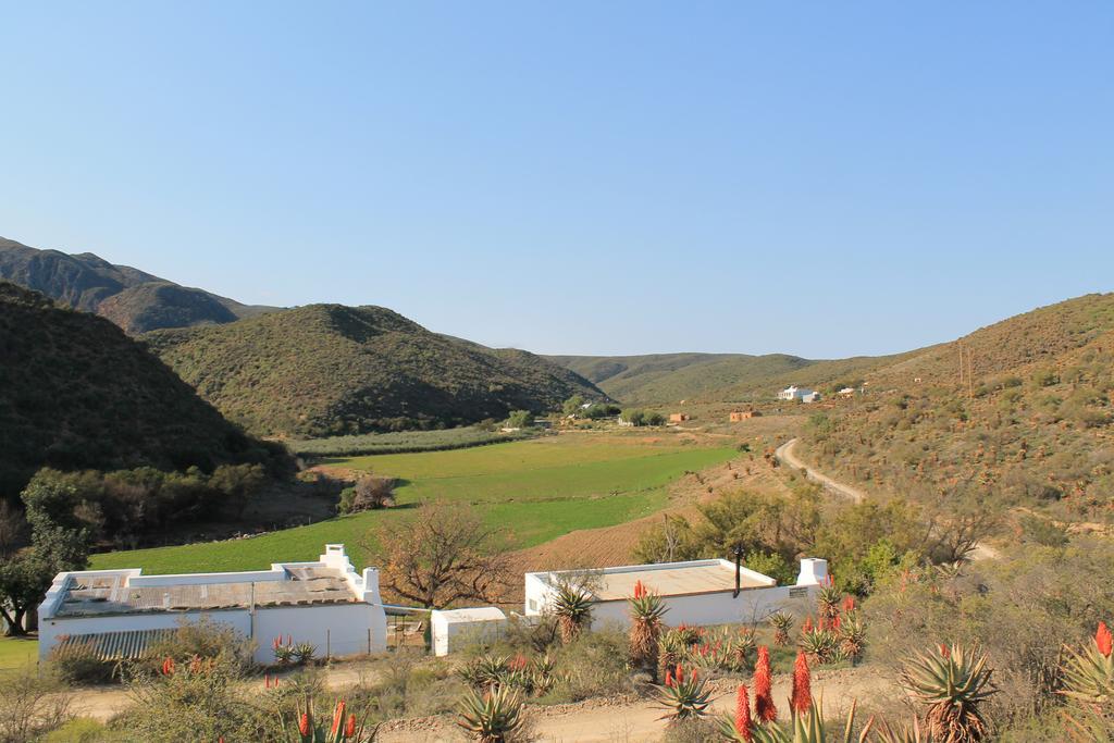 Villa Matjiesvlei Guestfarm à Calitzdorp Extérieur photo